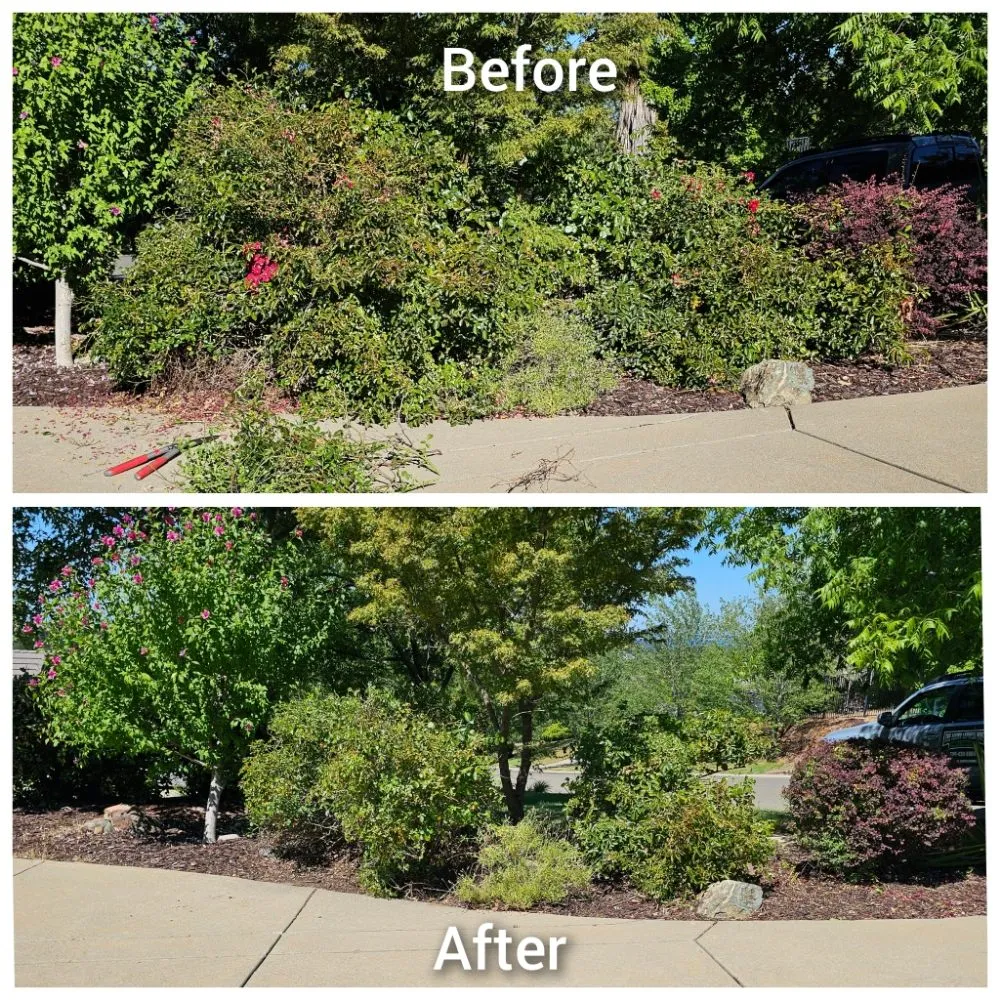 Expert landscaping services for homes in Cameron Park, CA by The Lucky Leprechaun Lawn & Land Care