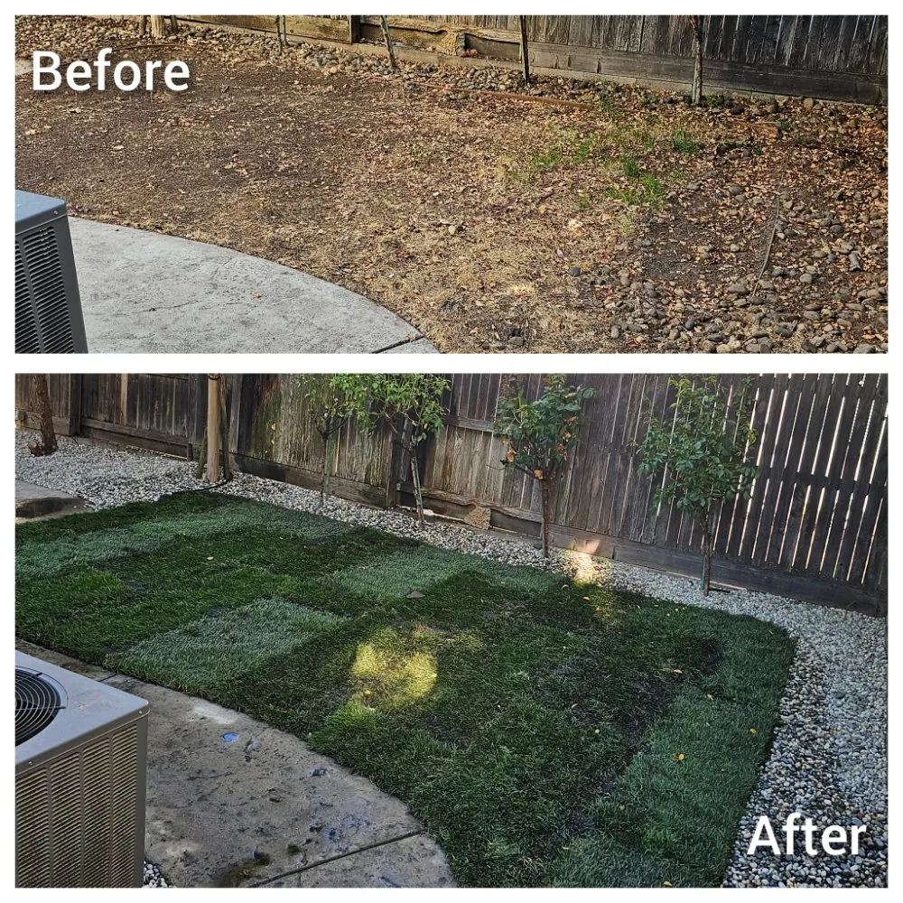Professional residential landscaping for homes across Cameron Park, CA - The Lucky Leprechaun Lawn & Land Care