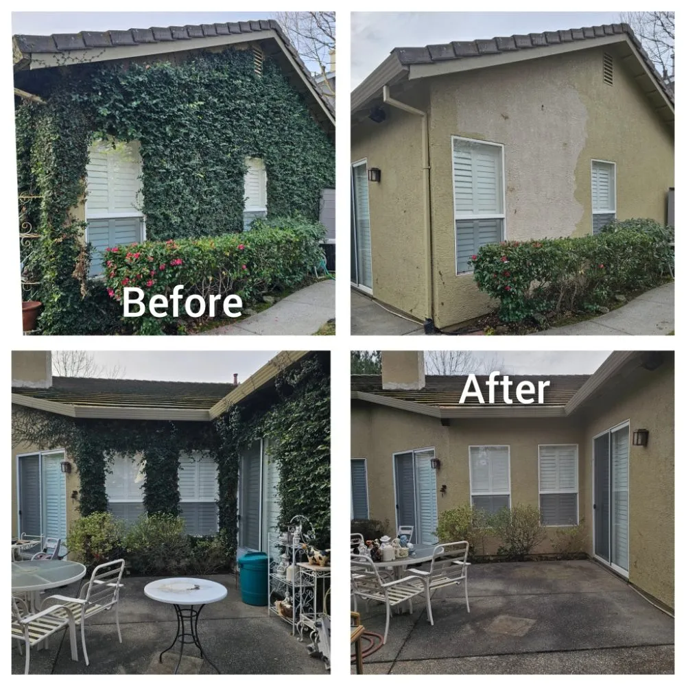 Reliable yard cleanup service for residential properties across Cameron Park, CA - The Lucky Leprechaun Lawn & Land Care