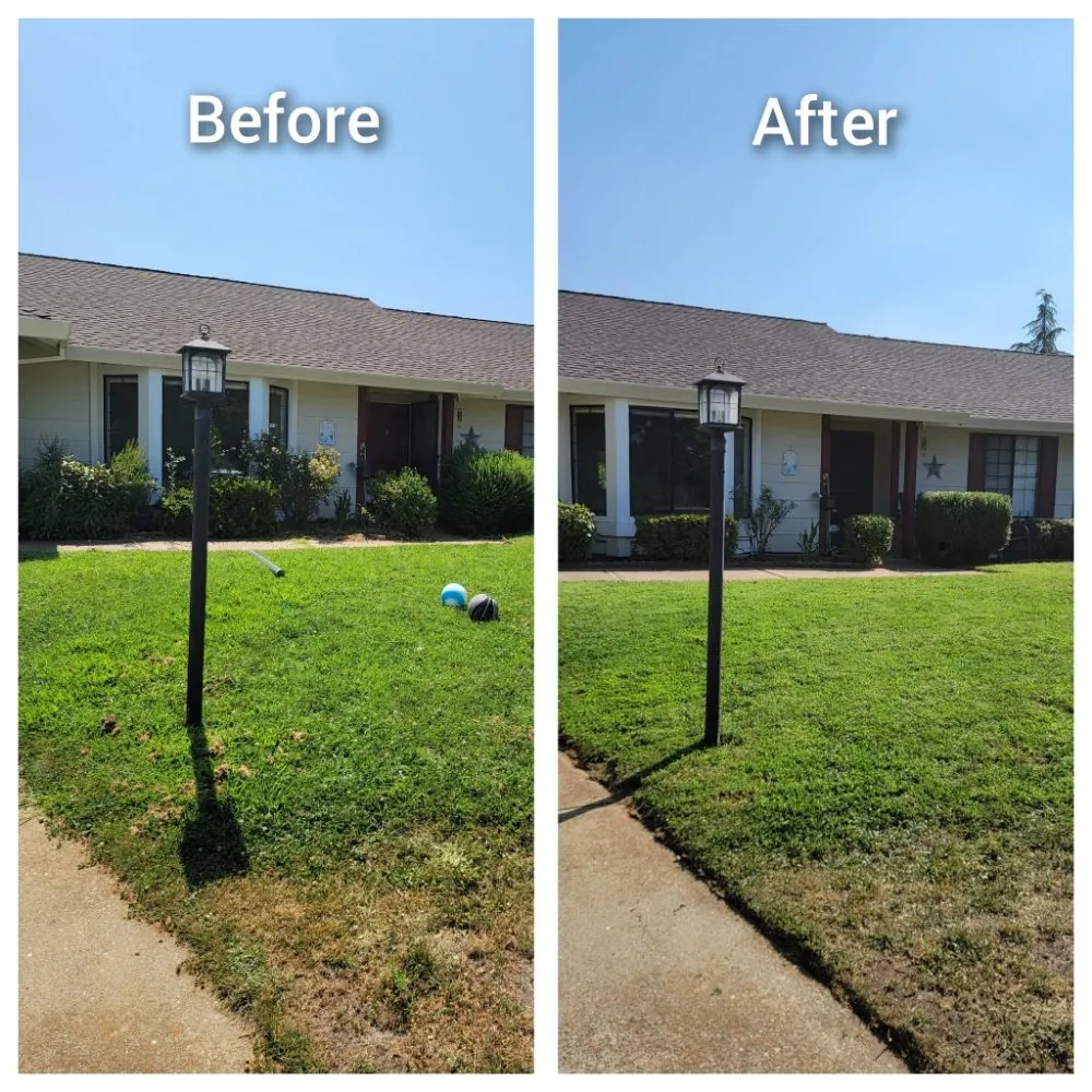 Local yard cleanup service experts serving Cameron Park, CA - The Lucky Leprechaun Lawn & Land Care