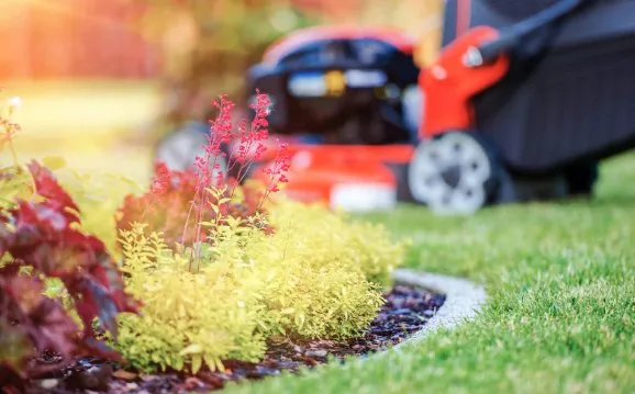 Affordable lawn mowing service experts serving Cary, IL - The Lynch Way