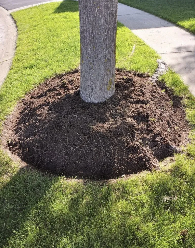 Custom residential landscaping with custom design across Cary, IL - The Lynch Way