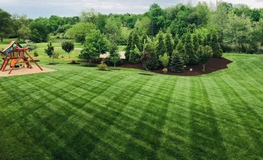 Expert landscape design in Cary, IL - The Lynch Way