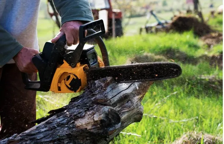 Top-rated landscape installation in Orlando, FL - The Magic Rake Tree And Landscaping Service