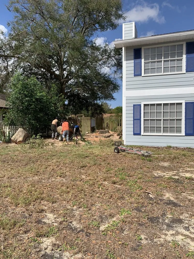 Trusted lawn care service in Orlando, FL - The Magic Rake Tree And Landscaping Service