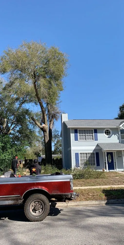 Professional lawn care service near you across Orlando, FL - The Magic Rake Tree And Landscaping Service