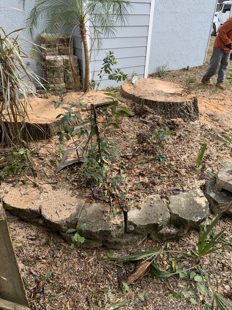 Custom landscape design for year-round maintenance in Orlando, FL by The Magic Rake Tree And Landscaping Service