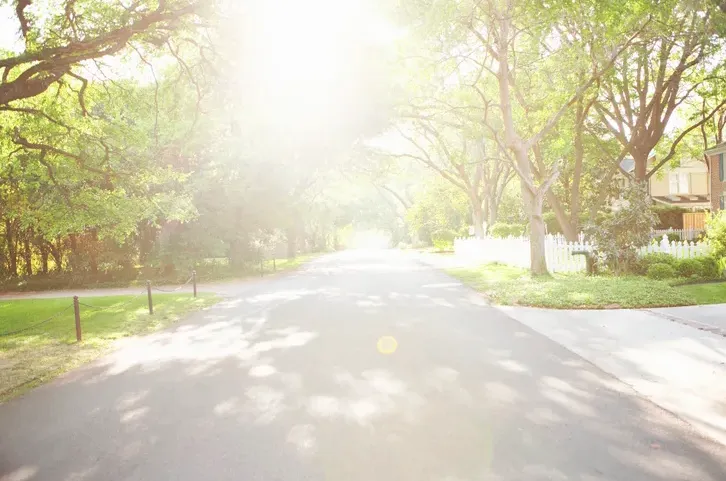 Custom outdoor landscaping experts serving Orlando, FL - The Magic Rake Tree And Landscaping Service