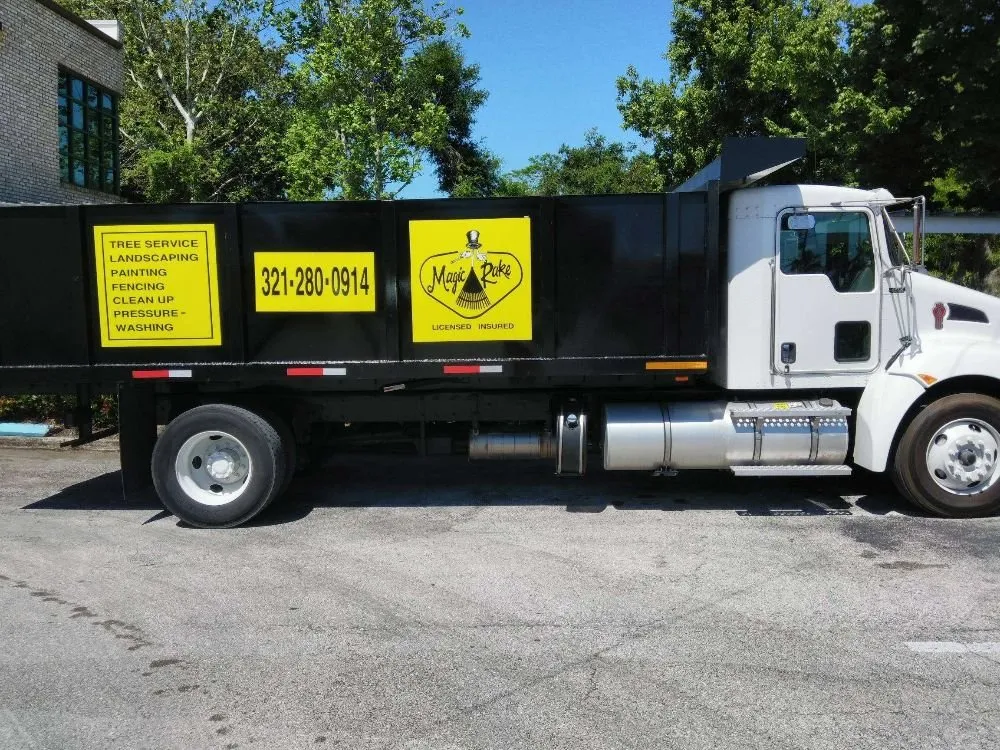 Affordable yard cleanup service in Orlando, FL - The Magic Rake Tree And Landscaping Service