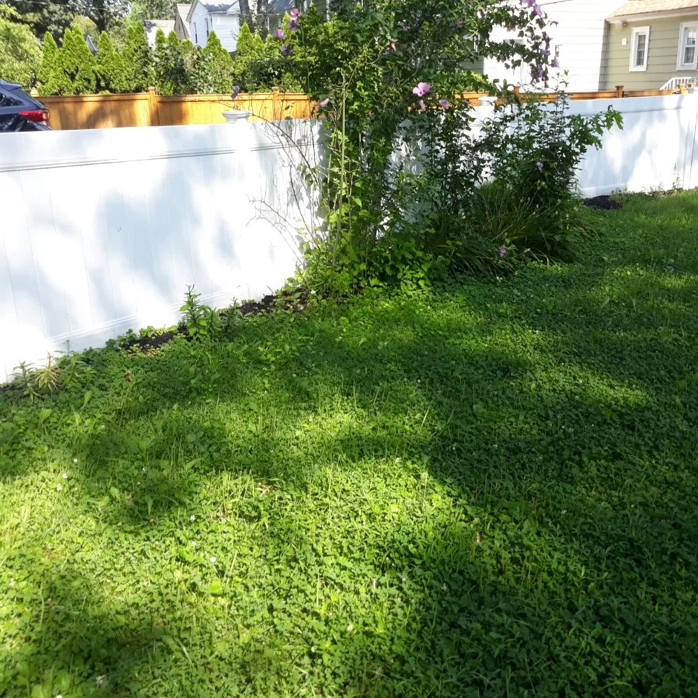 Affordable outdoor landscaping for homes across Bloomfield, NJ - The Magnifies landscaping