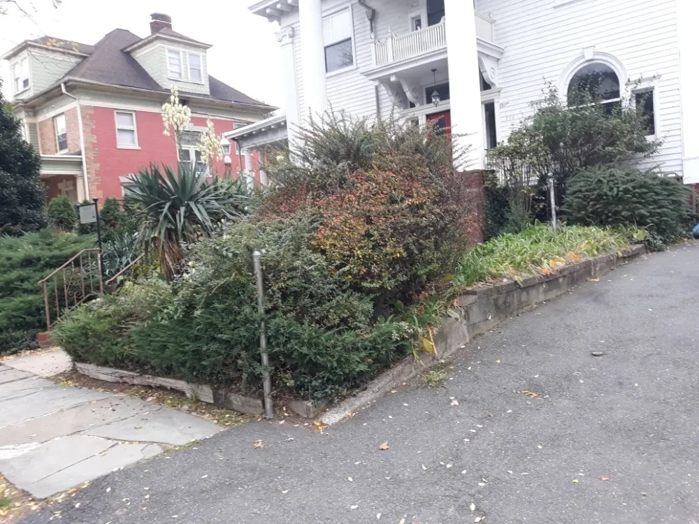 Expert residential landscaping experts serving Bloomfield, NJ - The Magnifies landscaping