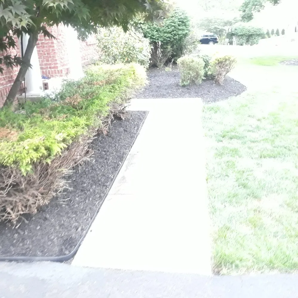 Expert residential landscaping for year-round maintenance across Bloomfield, NJ - The Magnifies landscaping