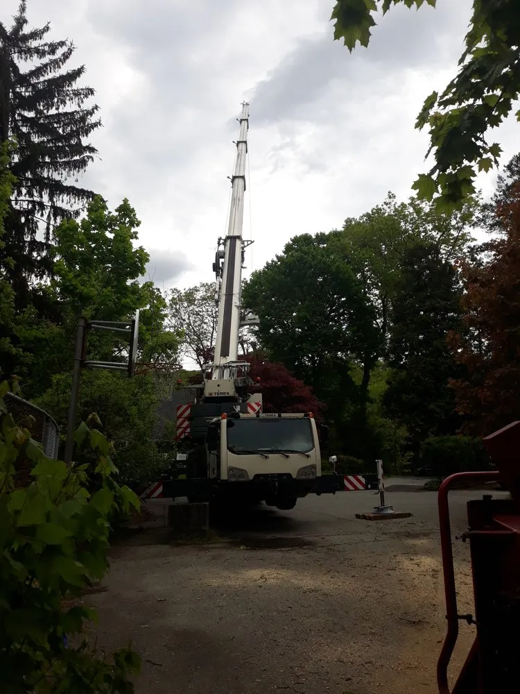 Custom lawn care service for homes across Bloomfield, NJ - The Magnifies landscaping