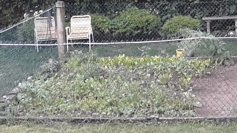 Top-rated lawn mowing service in Bloomfield, NJ by The Magnifies landscaping