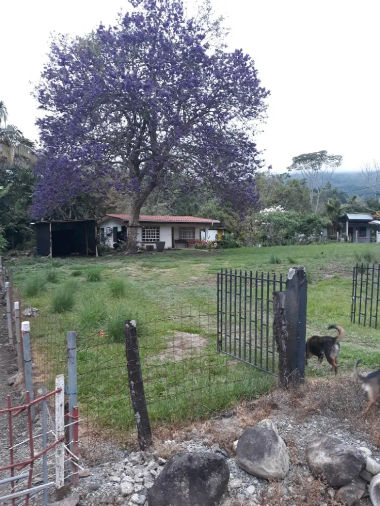 Expert residential landscaping near you in Bloomfield, NJ by The Magnifies landscaping