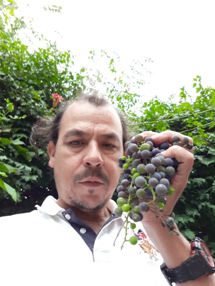 Professional outdoor landscaping for residential properties across Bloomfield, NJ - The Magnifies landscaping