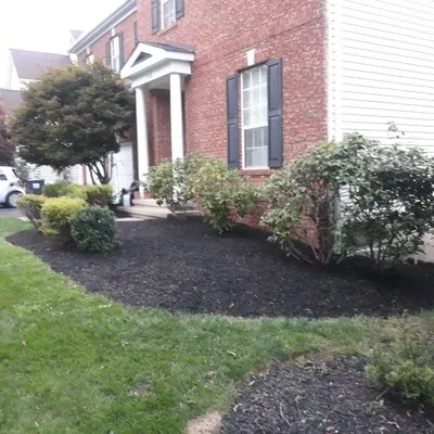 The Magnifies landscaping