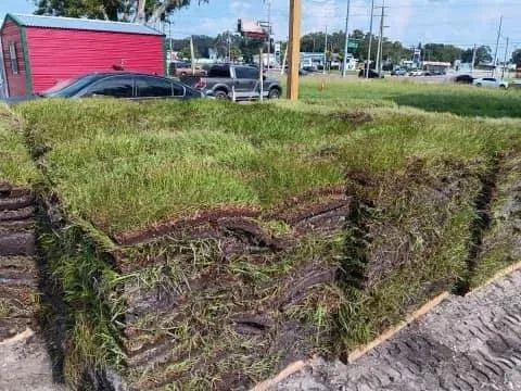 Local landscape design with custom design across Homosassa, FL - The MainStreet Landscaping