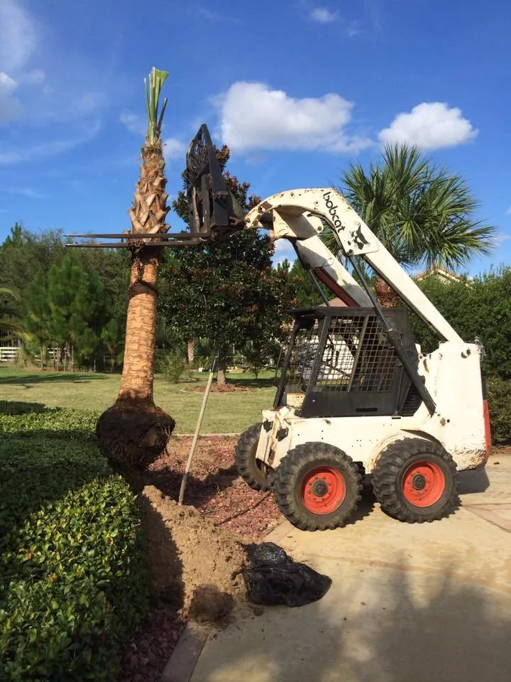 Professional lawn care service in Homosassa, FL by The MainStreet Landscaping