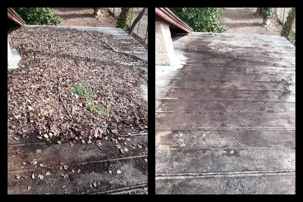 Top-rated yard maintenance experts serving Reidsville, NC - The Maintenance Man 336