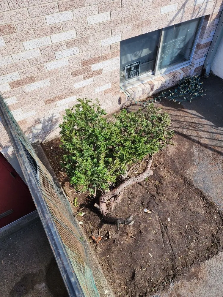 Custom outdoor landscaping near you in North Providence, RI by The Makeover Specialist Landscaper & Design