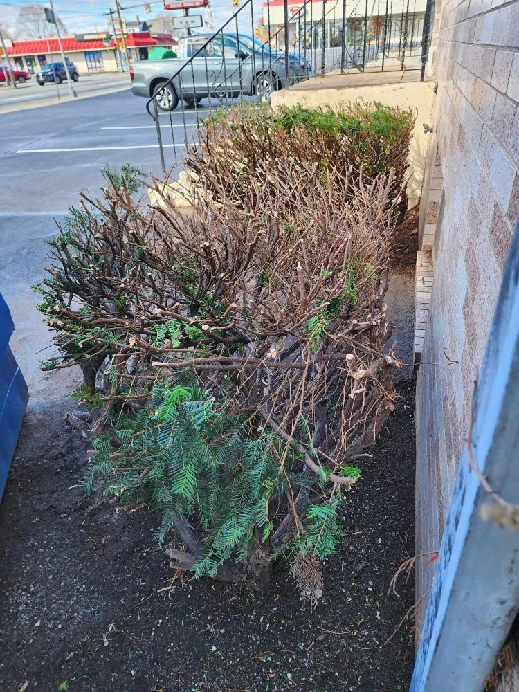 Professional landscaping services experts serving North Providence, RI - The Makeover Specialist Landscaper & Design