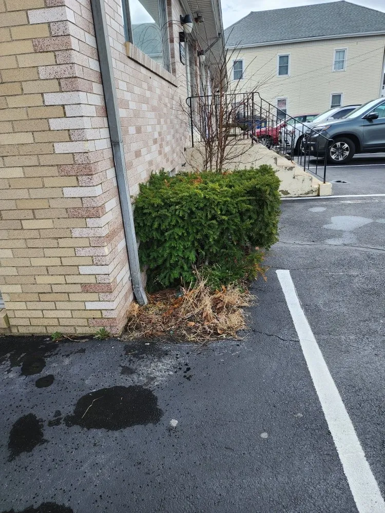 Custom yard cleanup service for beautiful yards across North Providence, RI - The Makeover Specialist Landscaper & Design