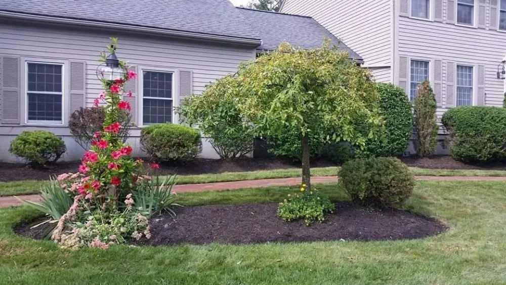 Expert landscaping services for outdoor upgrades across North Providence, RI - The Makeover Specialist Landscaper & Design