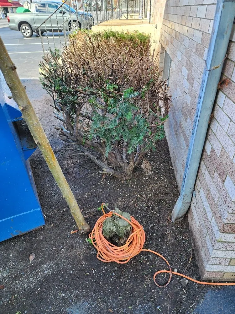 Trusted yard maintenance experts serving North Providence, RI - The Makeover Specialist Landscaper & Design