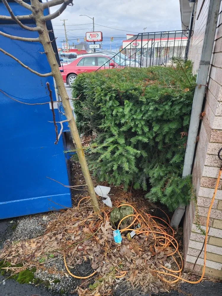 Affordable lawn mowing service in North Providence, RI - The Makeover Specialist Landscaper & Design