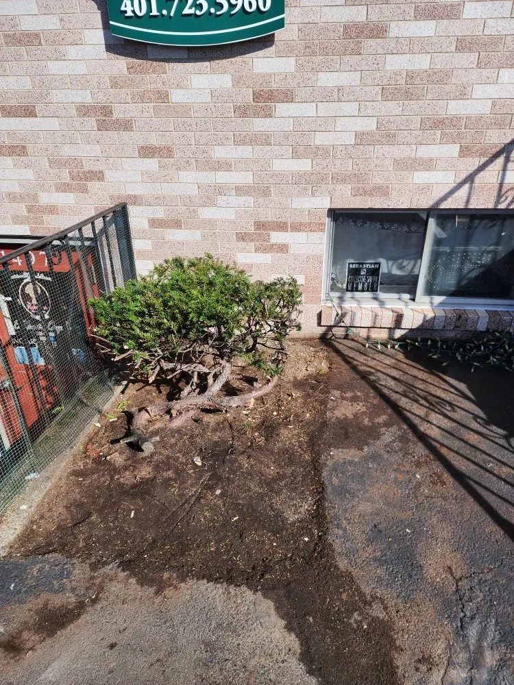 Reliable yard cleanup service experts serving North Providence, RI - The Makeover Specialist Landscaper & Design