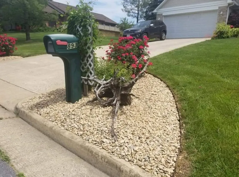 Expert lawn care service in Green Forest, AR - The Man on the Hill