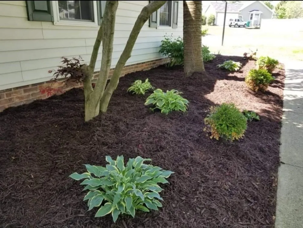 Custom yard maintenance in Green Forest, AR by The Man on the Hill