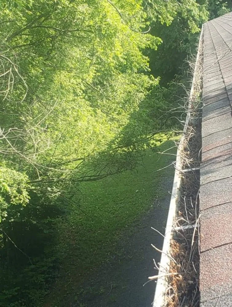 Affordable landscaping services for year-round maintenance across Green Forest, AR - The Man on the Hill