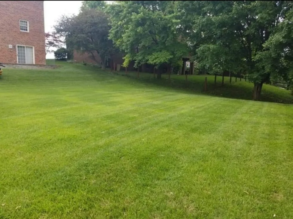 Expert landscape installation experts serving Green Forest, AR - The Man on the Hill