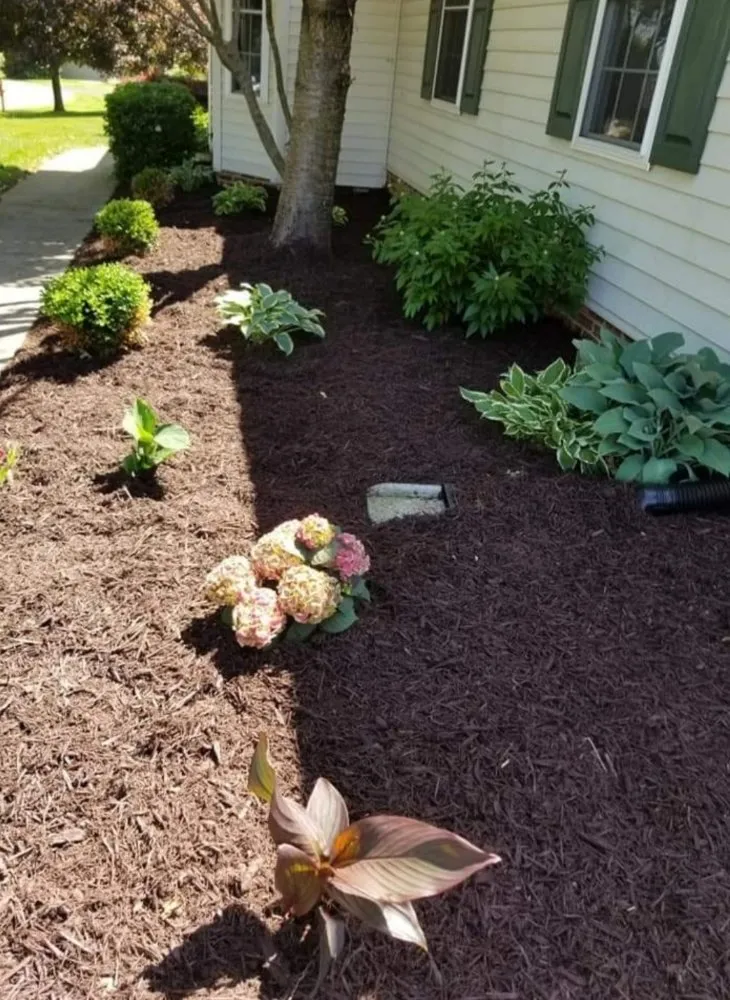 Local landscape installation in Green Forest, AR by The Man on the Hill
