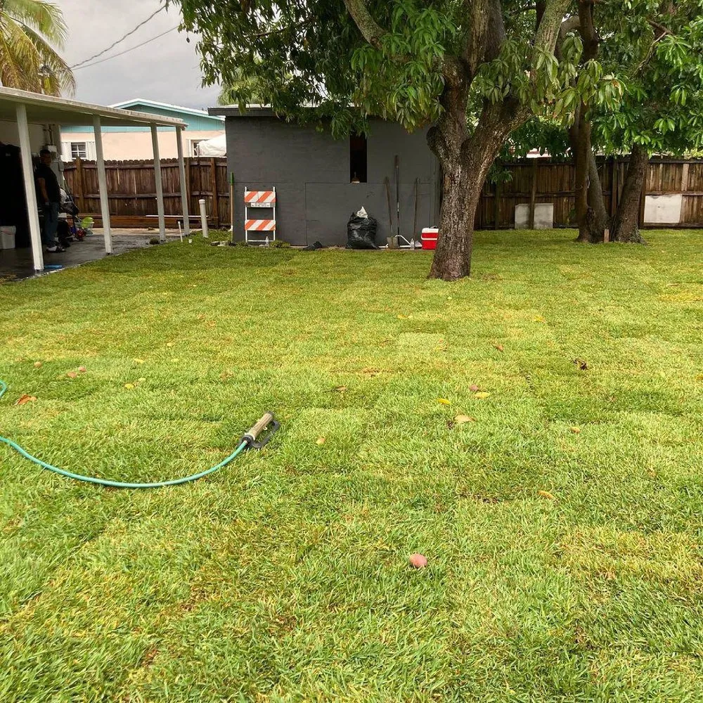 Top-rated landscaping services for beautiful yards in Miami, FL by The Manderina Landscaping