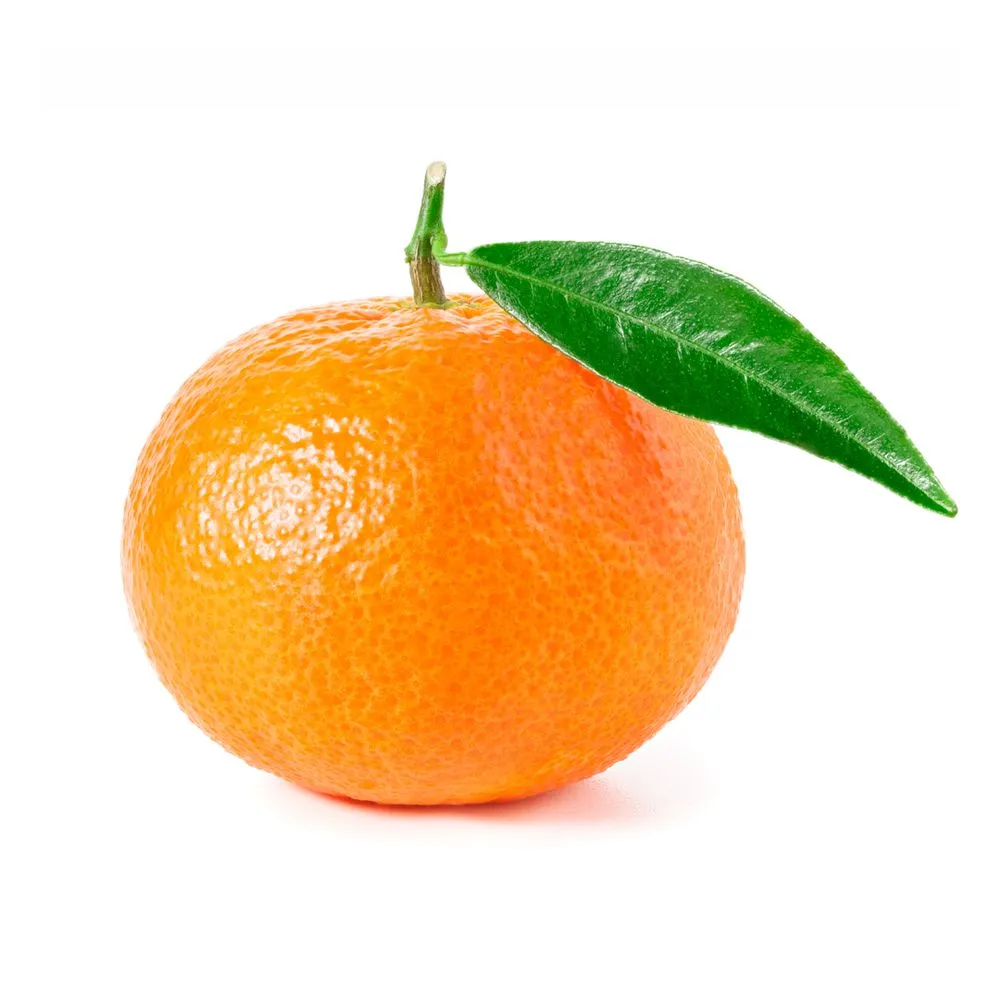 Trusted landscape installation experts serving Miami, FL - The Manderina Landscaping