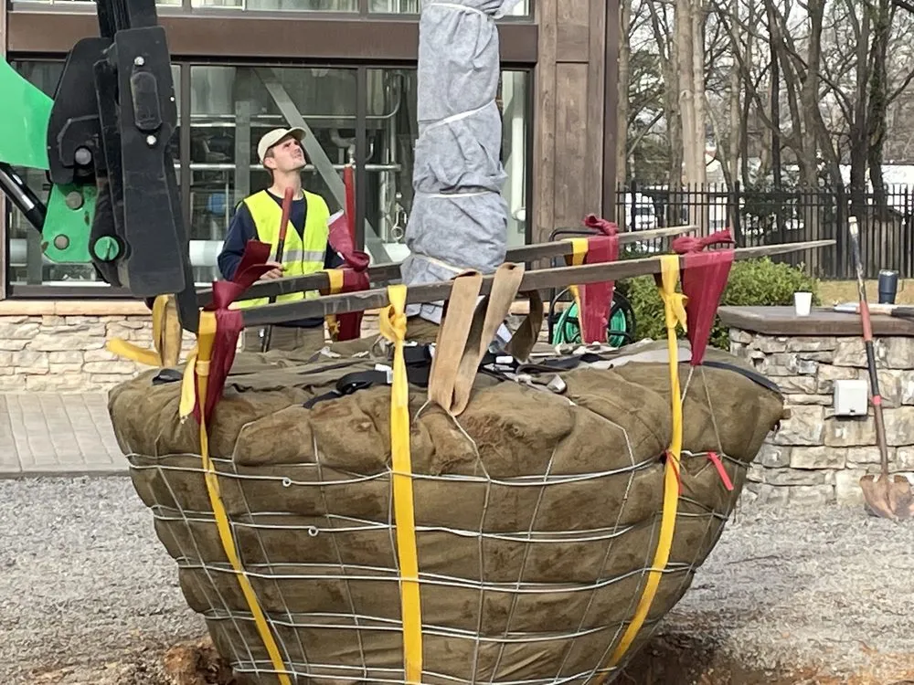 Expert yard maintenance in Charlotte, NC by The Maplewood Company