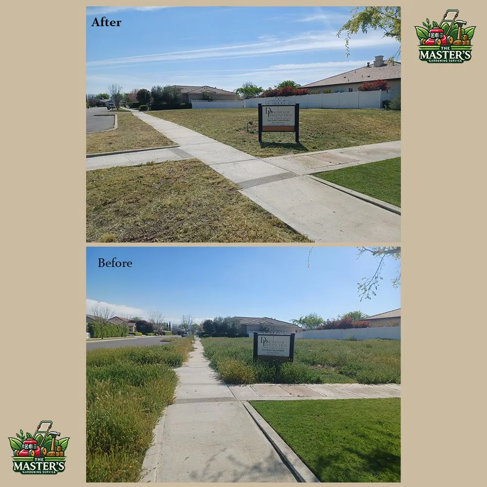 Professional yard cleanup service in Bakersfield, CA - The Master's Gardening