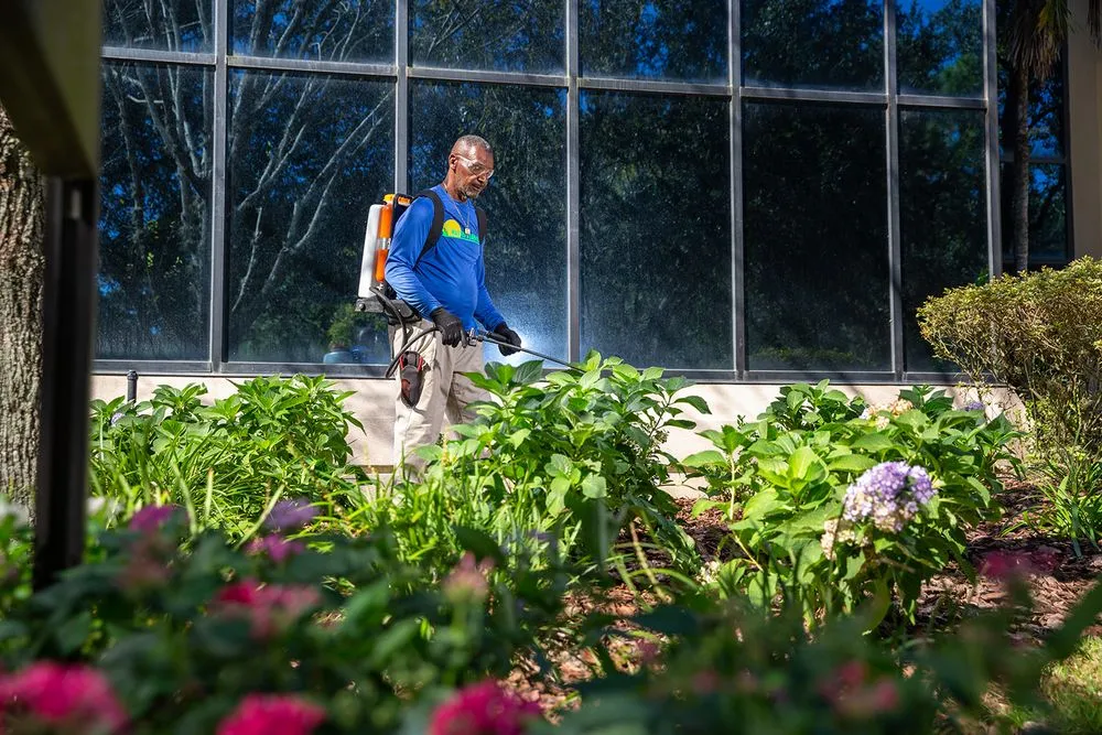 Custom landscape installation in Gainesville, FL by The Master's Lawn & Pest