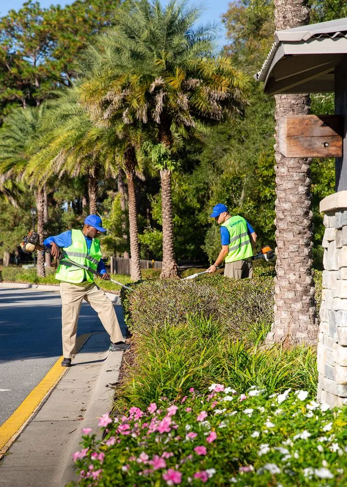 Reliable lawn care service for outdoor upgrades in Gainesville, FL by The Master's Lawn & Pest