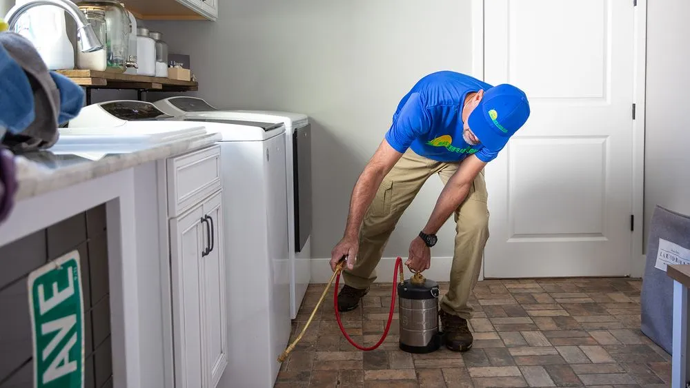 Local yard cleanup service in Gainesville, FL by The Master's Lawn & Pest