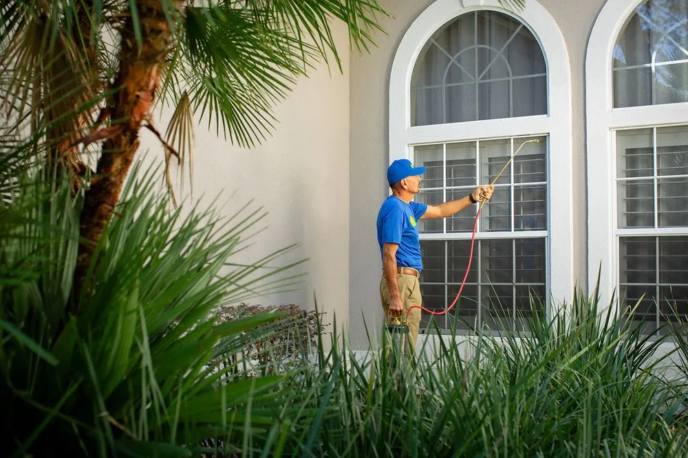 Affordable landscape design with custom design across Gainesville, FL - The Master's Lawn & Pest