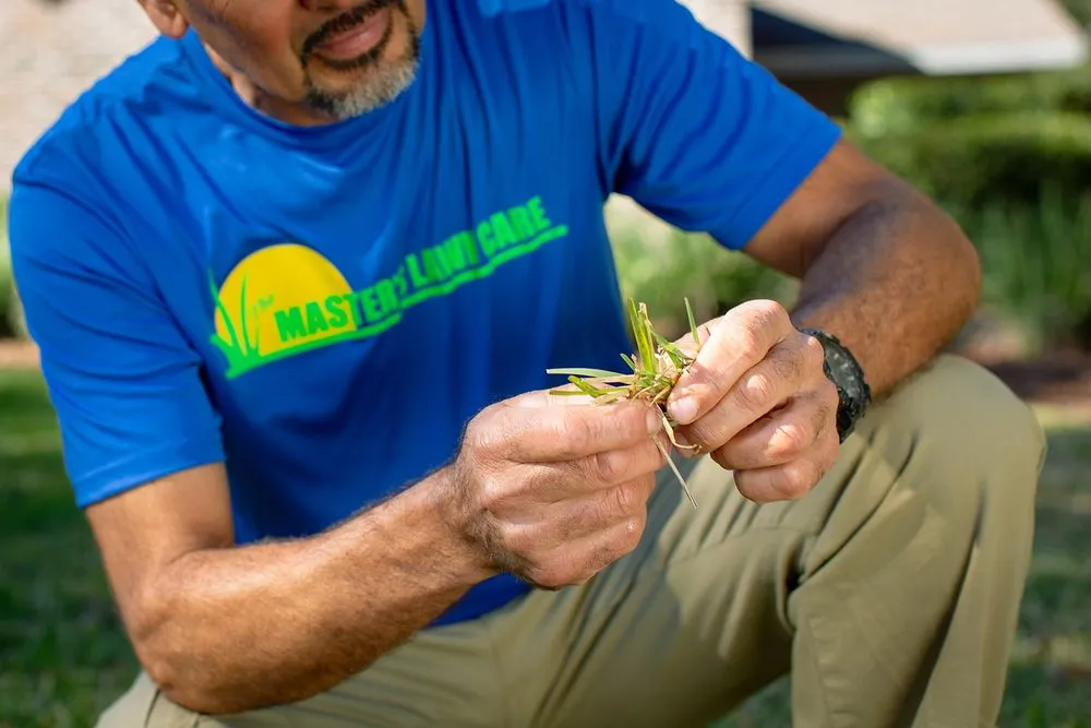 Professional landscape design in Gainesville, FL - The Master's Lawn & Pest