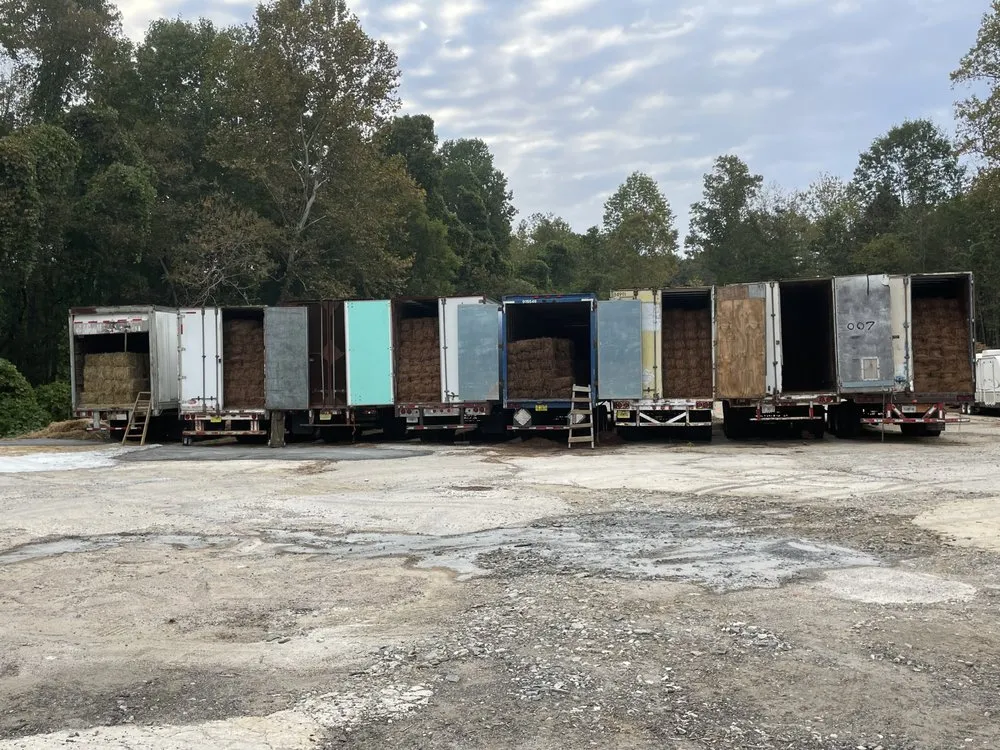 Trusted residential landscaping near you in Dawsonville, GA by The Masters Tree Service