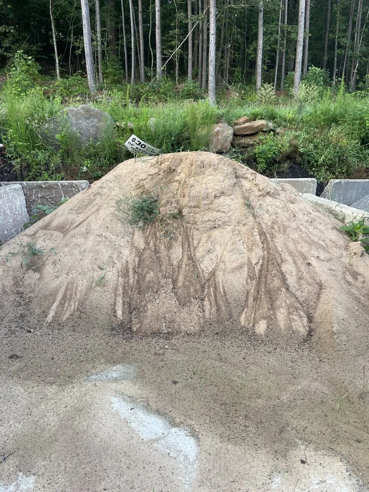 Affordable yard cleanup service in Dawsonville, GA - The Masters Tree Service