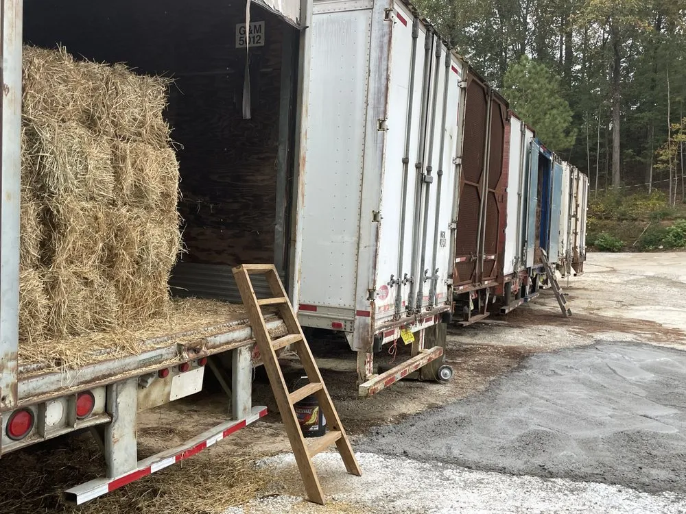 Custom yard maintenance in Dawsonville, GA by The Masters Tree Service