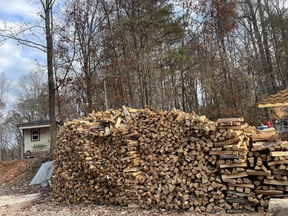 Expert yard cleanup service in Dawsonville, GA by The Masters Tree Service