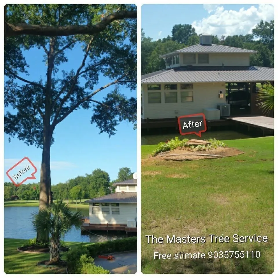 Local lawn mowing service in Overton, TX - The Masters Tree Service